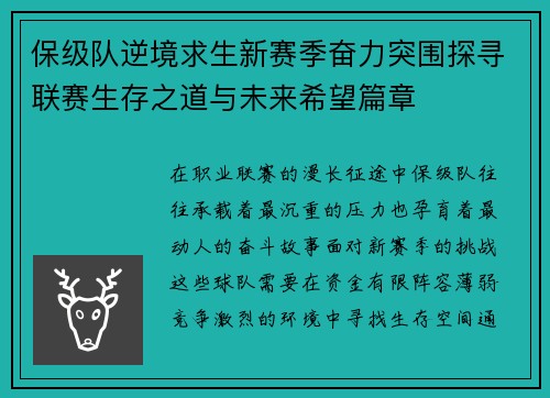 保级队逆境求生新赛季奋力突围探寻联赛生存之道与未来希望篇章